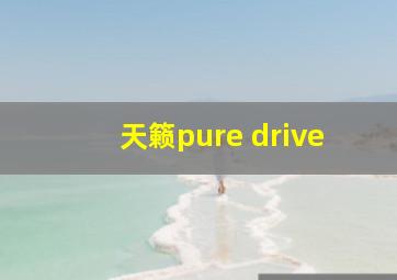 天籁pure drive